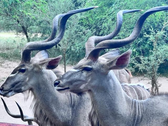 مبيت وإفطار مارلوث بارك توراكو لودج المظهر الخارجي الصورة